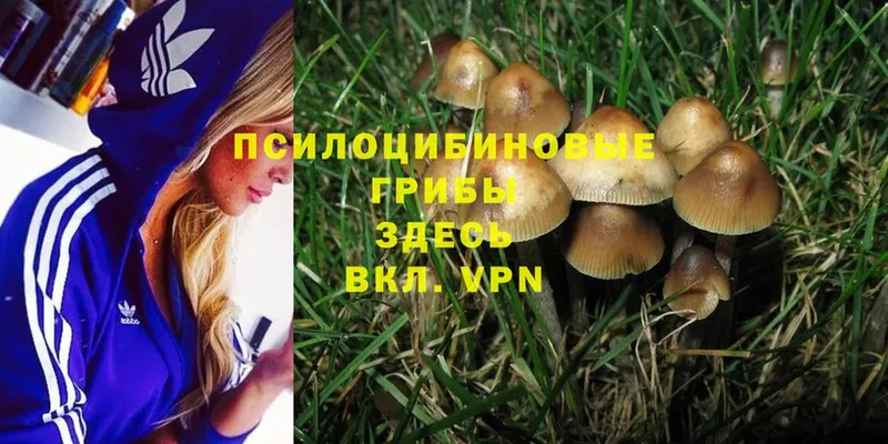 Псилоцибиновые грибы Magic Shrooms  наркота  МЕГА как войти  darknet какой сайт  Краснокамск 